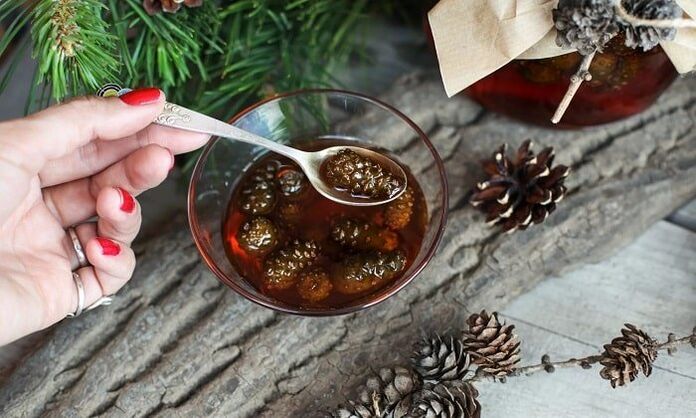 Настоянка на основі соснових бруньок для лікування шийного остеохондрозу в домашніх умовах